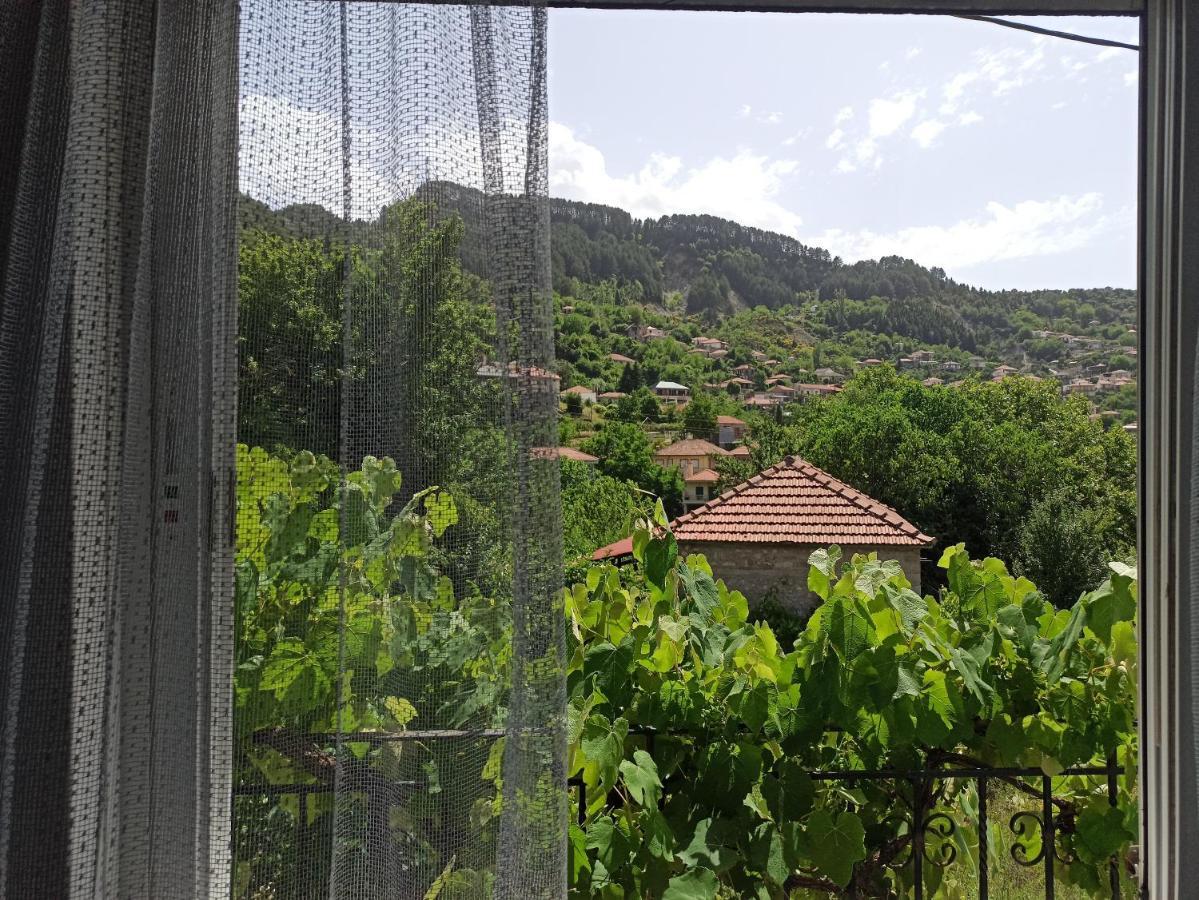 Elli΄S House Συγχρονο Σπιτι Στα Πραμαντα Vila Prámanta Exterior foto